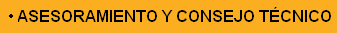 Asesoramiento y Consejo Tcnico