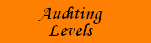Auditing Levels
