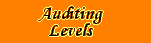 Auditing Levels