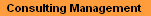 Consulting Management