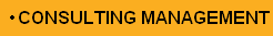 Consulting Management