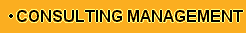 Consulting Management