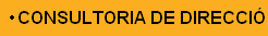Consultoria de Direcci