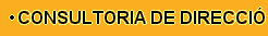Consultoria de Direcci