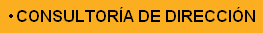 Consultoria de Direccion