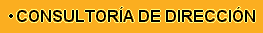 Consultora de Direccin