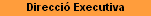 Direcci Executiva