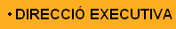 Direcci Executiva