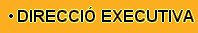 Direcci Executiva