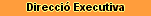 Direcci Executiva
